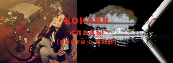 амф Пестово