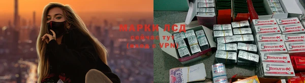 a pvp Белоозёрский