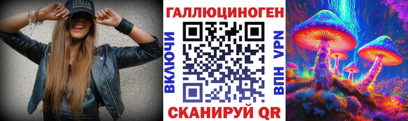 Галлюциногенные грибы Psilocybine cubensis  блэк спрут вход  Нестеров 