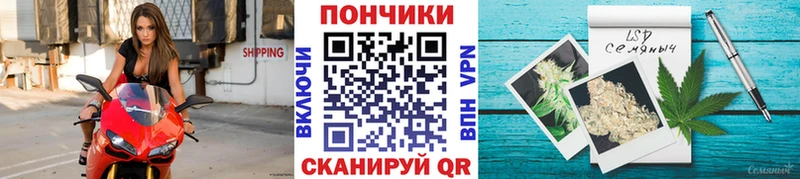 Каннабис индика  Нестеров 